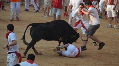 Heyecanlı festival müdavimlerinin kalabalıklar Plaza de Toros'e kadar aramazsam, San Fermin fiesta, Pamplona, İspanya sırasında çalıştırın. 10 Temmuz 2013
