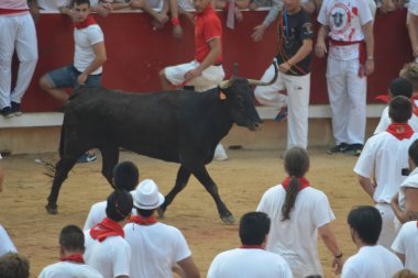 Heyecanlı festival müdavimlerinin kalabalıklar Plaza de Toros'e kadar aramazsam, San Fermin fiesta, Pamplona, İspanya sırasında çalıştırın. 10 Temmuz 2013