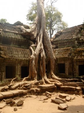 Ta Prohm, Angkor Wat Tapınağı Siem Reap, Kamboçya'da karmaşık parçası kalıntıları.