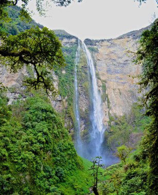 Gocta şelale, 771m yüksek. Tarapoto, Amazonas, Peru