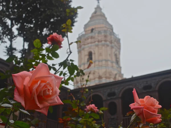 Розовый Сад Внутренний Двор Монастыря Санто Доминго Лима Перу — стоковое фото