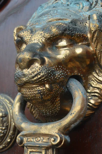 Lví Hlavy Dveřní Klepadlo Detail Dveře Katedrály Lima Peru — Stock fotografie