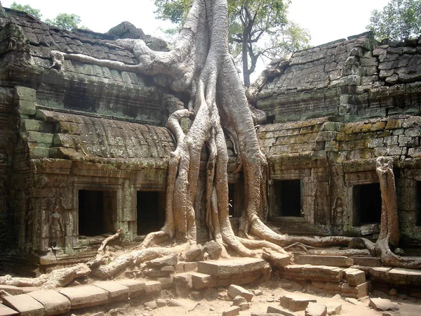 Rovine Prohm Parte Del Complesso Del Tempio Angkor Wat Siem — Foto Stock