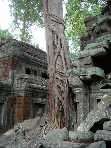 Rovine Prohm Parte Del Complesso Del Tempio Angkor Wat Siem — Foto Stock