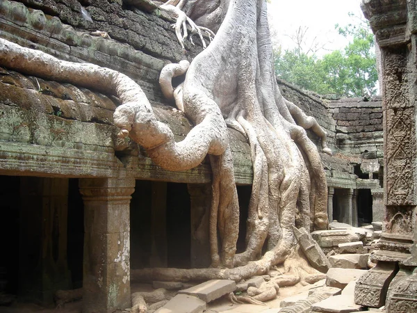 Rovine Prohm Parte Del Complesso Del Tempio Angkor Wat Siem — Foto Stock