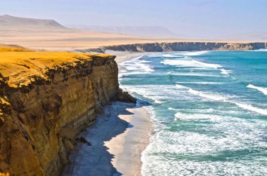 Paracas National Reserve, ICA, Peru.