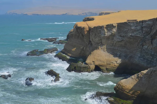 Réserve nationale de Paracas, Ica, Pérou . — Photo