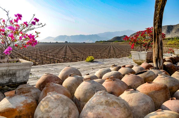 Peru Pisco ve şarap üretimi, ICA, Peru