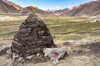 Lama 'yı kurutmak ve alpaka atıklarını yakıt olarak kullanmak için kullanılan bir toprak yığını. Cusco, Peru