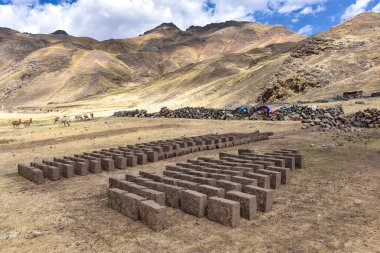 Adobe çamur tuğlaları güneşte kuruyor. Chillca, Cusco, Peru