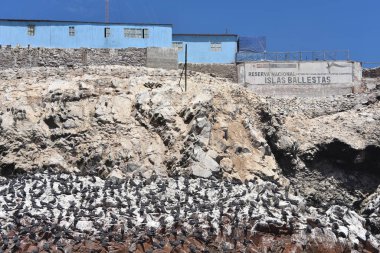 Sea bird colonies and Guano (seabird dropping) storage buildings on the Islas Ballestas. Pisco Bay, Paracas, Peru clipart