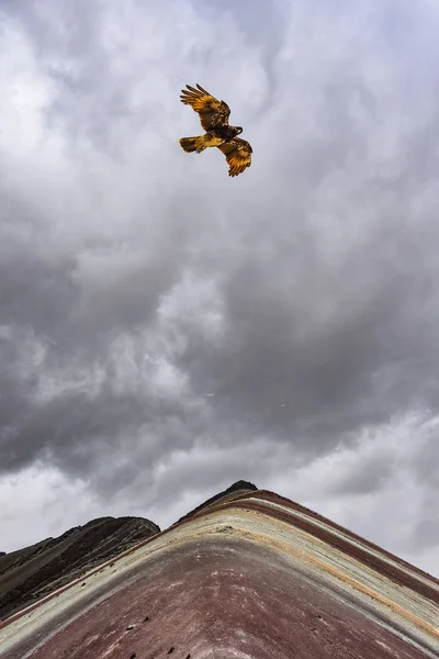 Ptaki karakary przelatujące nad Vinicunca "Tęczową Górą". Cusco, Peru — Zdjęcie stockowe