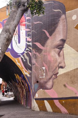 Lima, Peru - 17 Kasım 2019: Renkli Şehir Sanatı Sokaklarda 