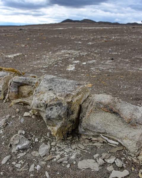 Uncovered Dinosaur bones fossilized beneath the sands. Nazca, Peru