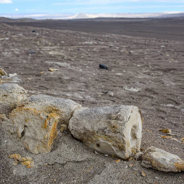 Uncovered Dinosaur bones fossilized beneath the sands. Nazca, Peru