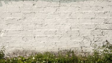 arkaplan için eski beyaz tuğla duvar dokusu