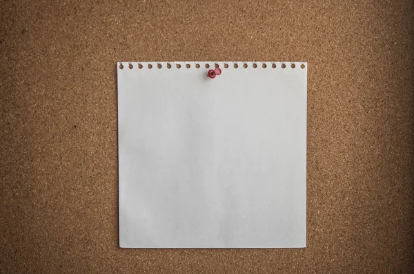 Libro Blanco Sobre Fondo Corcho — Foto de Stock