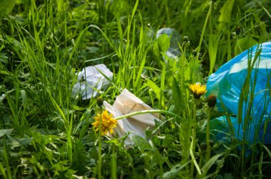 Yeşil çimlerin üzerinde çöp..