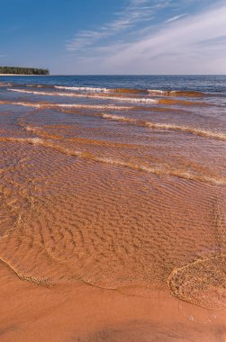Ladoga Gölü kıyısında. Sahilde dalgalar ve kıyı şeridi. Yaz manzarası.