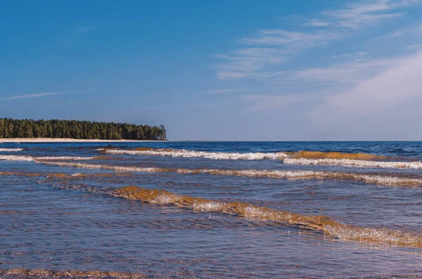 拉多加湖岸边 海岸线和海浪靠近海滩 夏季风景 — 图库照片