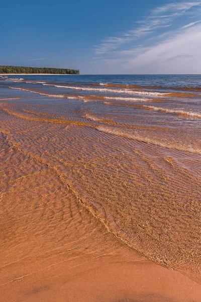 Shore Lake Ladoga Coastline Waves Beach Summer Landscape — Stock Photo, Image