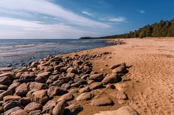 拉多加湖岸边 海岸线上的石头和海滩附近的波浪 夏季风景 — 图库照片