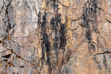 Taşta yosun var. Taşta çatlaklar var. Doku ve arkaplan