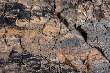 Taşta yosun var. Taşta çatlaklar var. Doku ve arkaplan