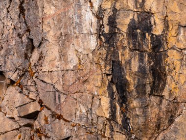 Taşta yosun var. Taşta çatlaklar var. Doku ve arkaplan
