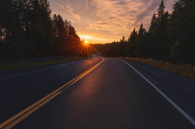 Gün batımına giden yol. Ormanda ve güneşte asfalt yol