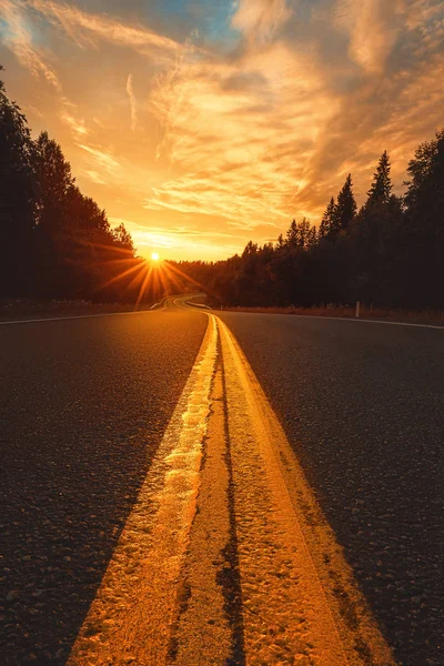 Gün batımına giden yol. Ormanda ve güneşte asfalt yol