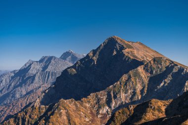 Dağ sırası. Dağın eteğindeki orman. Peyzaj.