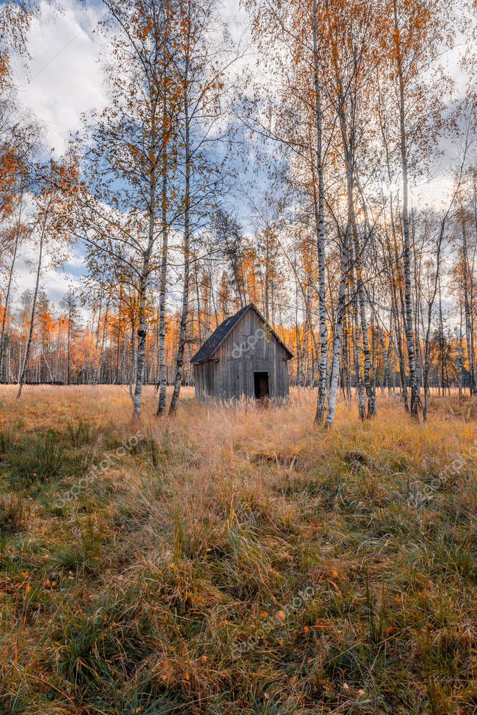 Дом В Осеннем Лесу Фото