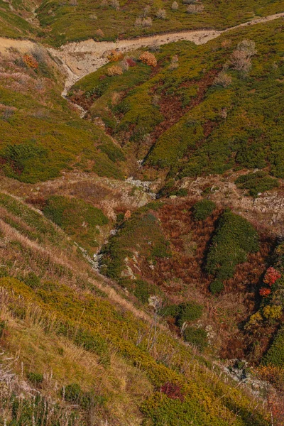 Осінь Біля Підніжжя Гори Сочі Роза Хотор — стокове фото