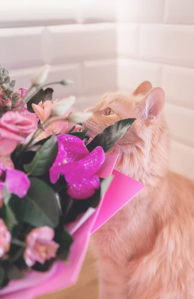 Czerwony Kot Wącha Piękny Bukiet Różowych Kwiatów — Zdjęcie stockowe