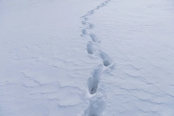 雪の中の人間の深い痕跡 — ストック写真