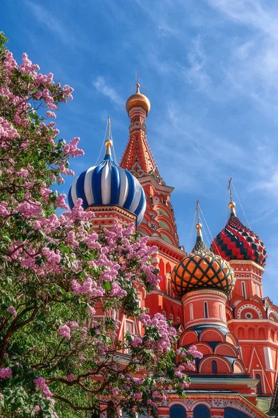 Catedral Basílio Lilás Primavera Praça Vermelha — Fotografia de Stock