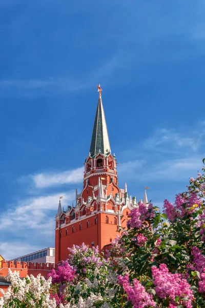 Alexander Garden Während Der Blütezeit Dreifaltigkeit Kreml Turm Lila Farben — Stockfoto