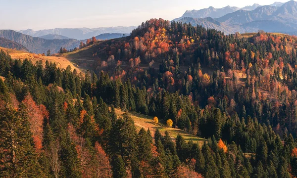 Autumn in the mountains. The slopes of the mountains in colorful trees. Mountain autumn landscape. Rosa Khutor, Sochi.