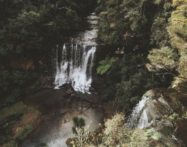 Gündüz, yeşil orman şelale manzarası