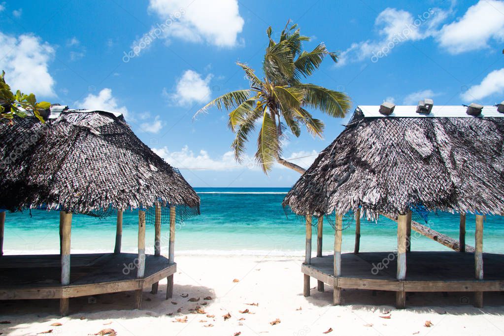 palm trees and beach fales on sandy beach in tropical island of Samoa with clean blue water