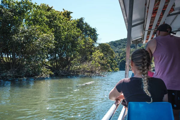 Río Daintree Australia Selva Verde Creciendo Alrededor Del Río — Foto de Stock