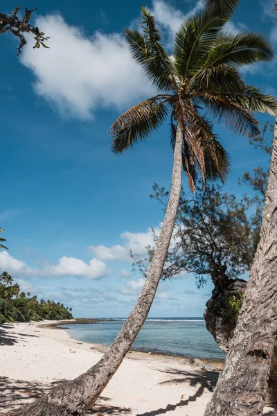 Bela Praia Vazia Com Palmeiras Tonga — Fotografia de Stock