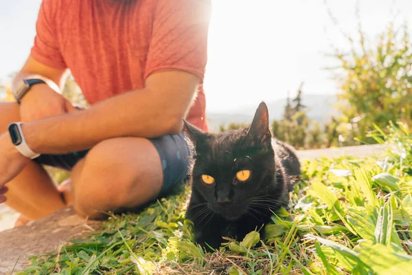 Imagem Cortada Homem Sentado Lado Seu Gato Preto Livre — Fotografia de Stock