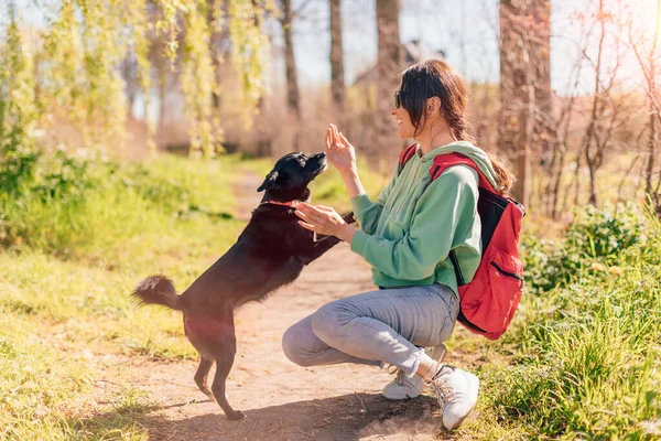 Happy Sorrindo Menina Mochileiro Brincando Com Cão Preto Livre — Fotografia de Stock