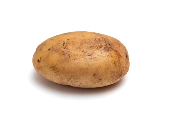 Одна Сира Брудна Картопля Білому Тлі — стокове фото