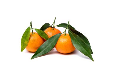 Beyaz arka planda yeşil yapraklı üç mandalina.