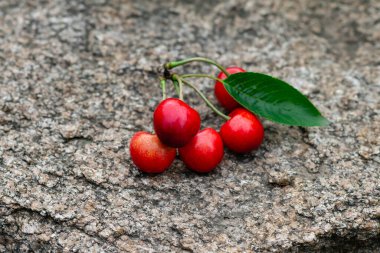 Yeşil yapraklı kırmızı kirazlar.