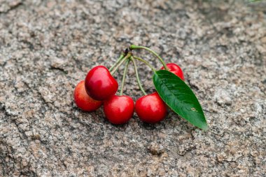 Yeşil yapraklı kırmızı kirazlar.