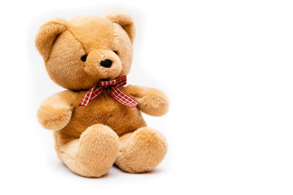 Bear Toy White Background — Stock Photo, Image